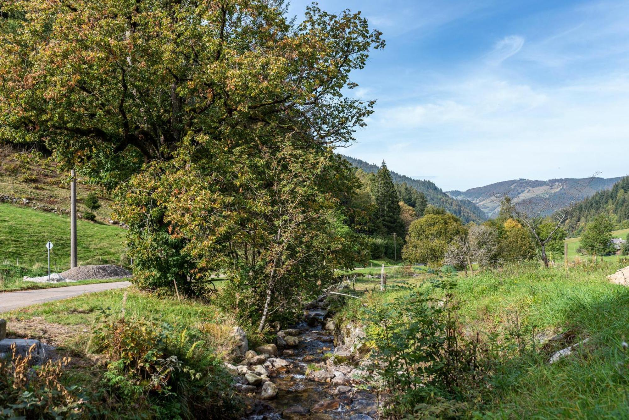 Gasthaus Zur Linde- Napf Oberried  Εξωτερικό φωτογραφία