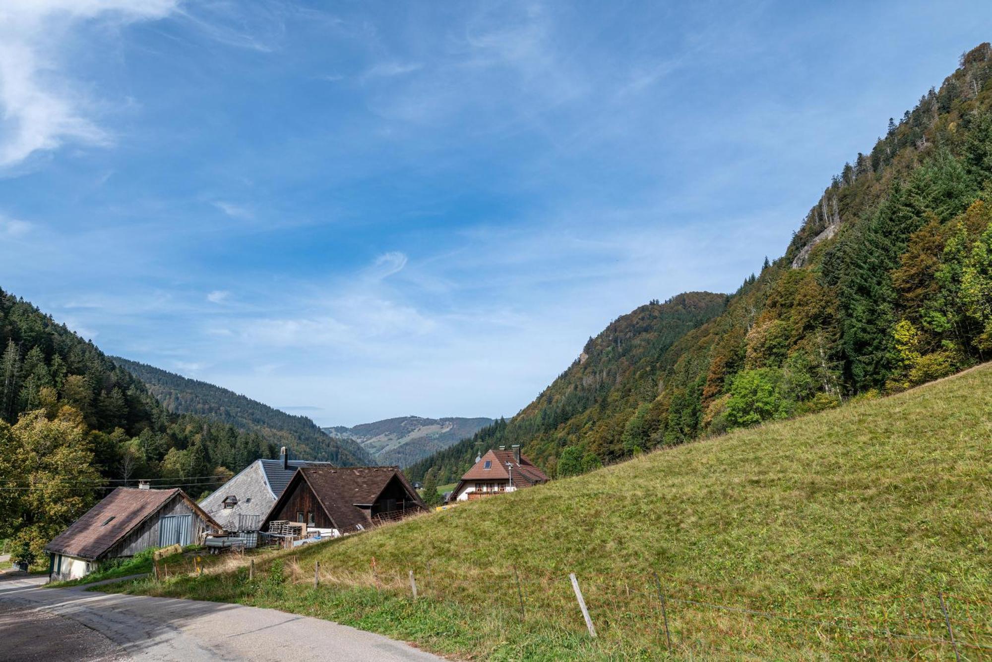 Gasthaus Zur Linde- Napf Oberried  Εξωτερικό φωτογραφία